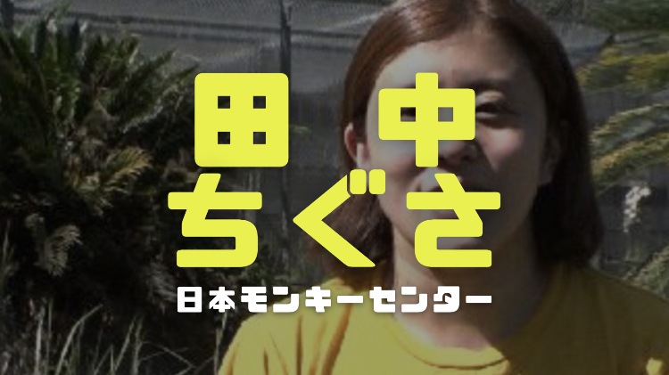 田中ちぐさ 猿の飼育主任 の経歴学歴 勤務先日本モンキーセンターの場所とサルの種類一覧 電楽